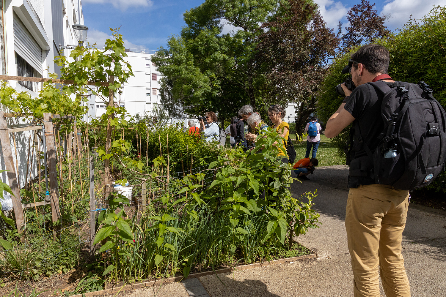 Participants en train de photographier un potager partagé