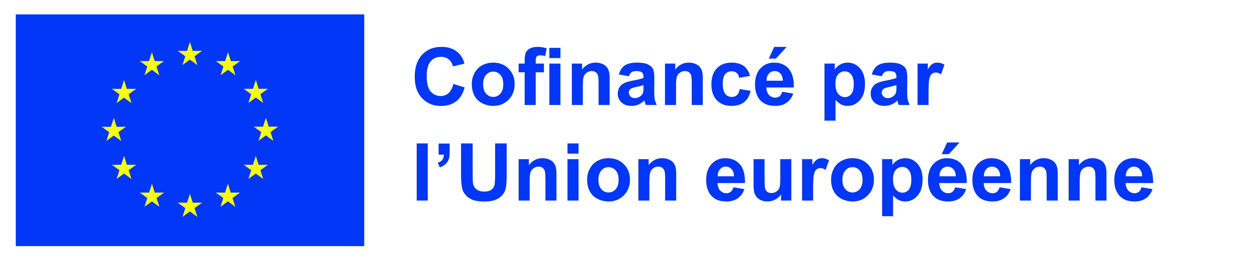 logo financement de l'Union Européenne