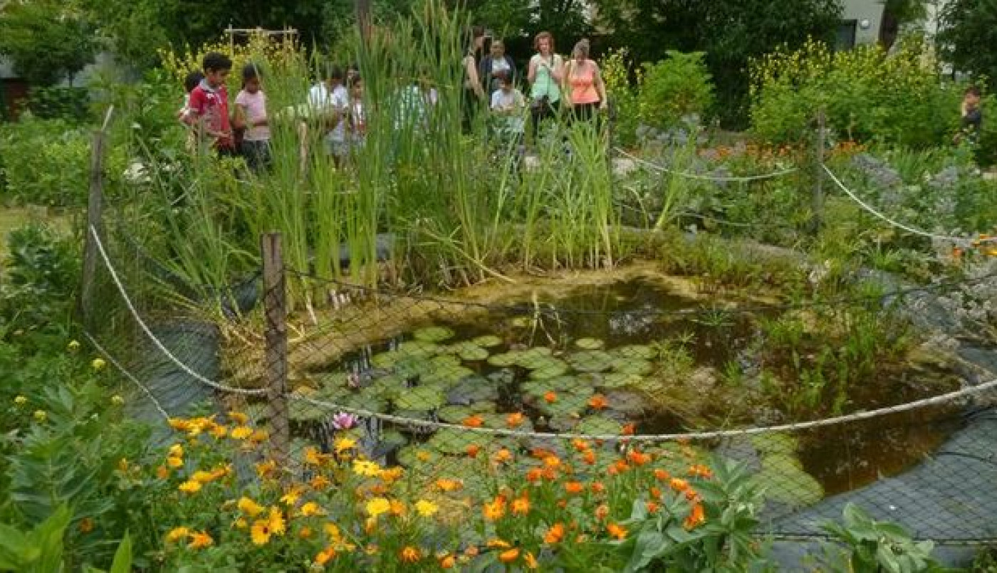 1001 feuilles : le  jardin qui pousse au partage