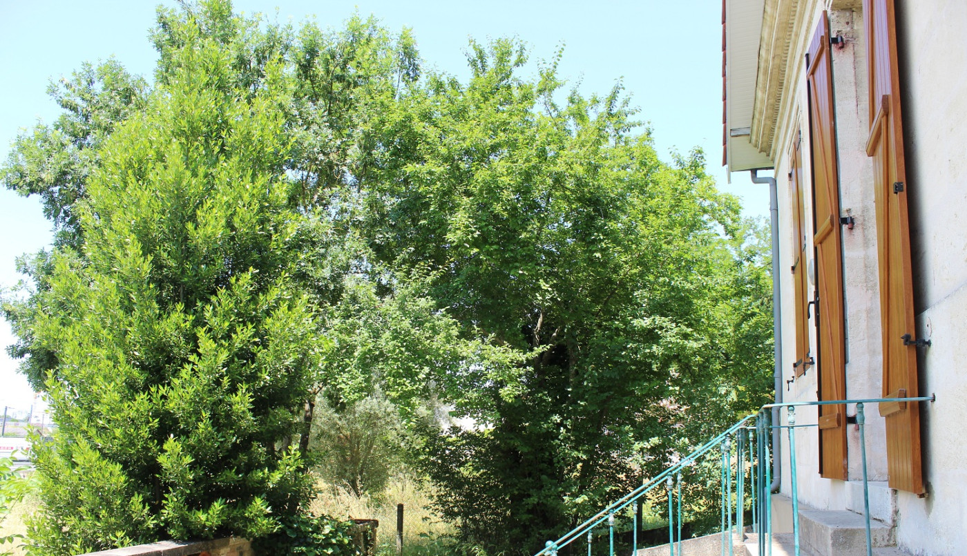 Risque de chutes d'arbre : appel aux propriétaires