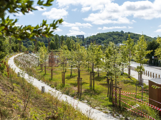place de la demi-lune
